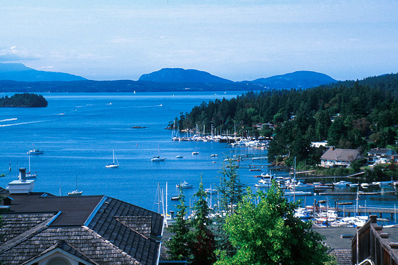 Vancouver Island Chambers Unite to Protect Marine-Based Tourism Following Federal SKRW Critical Habitat Zone Extension