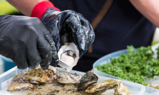 Record Turnout For Annual BC Seafood Festival In Comox Valley