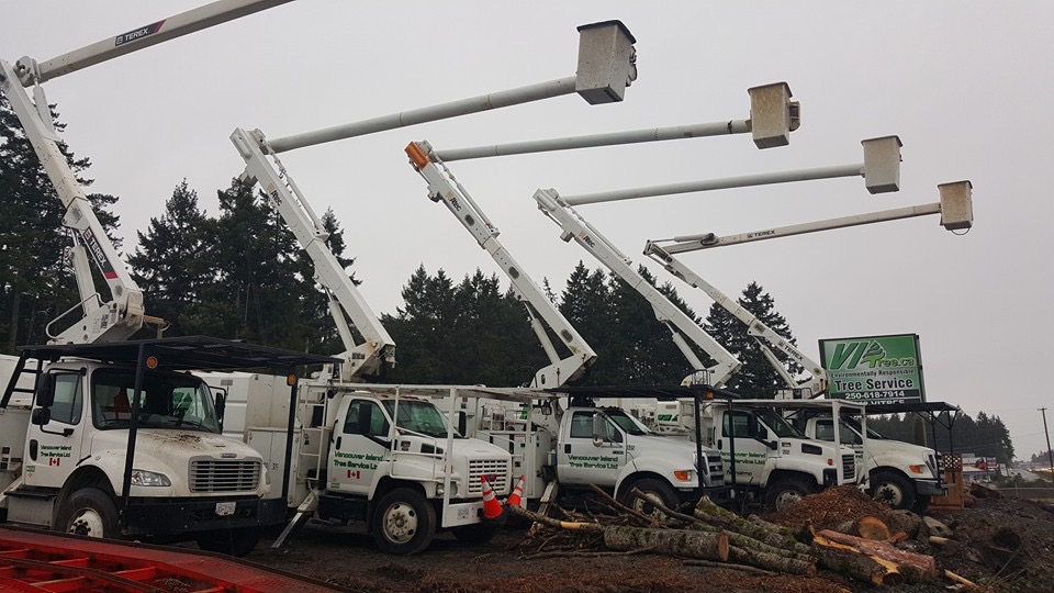Rooted in Nanaimo, Tree Service Company Spreads Across Western Canada