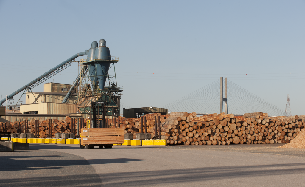 San Group Buying Acorn Forest Products Sawmill | Business Examiner