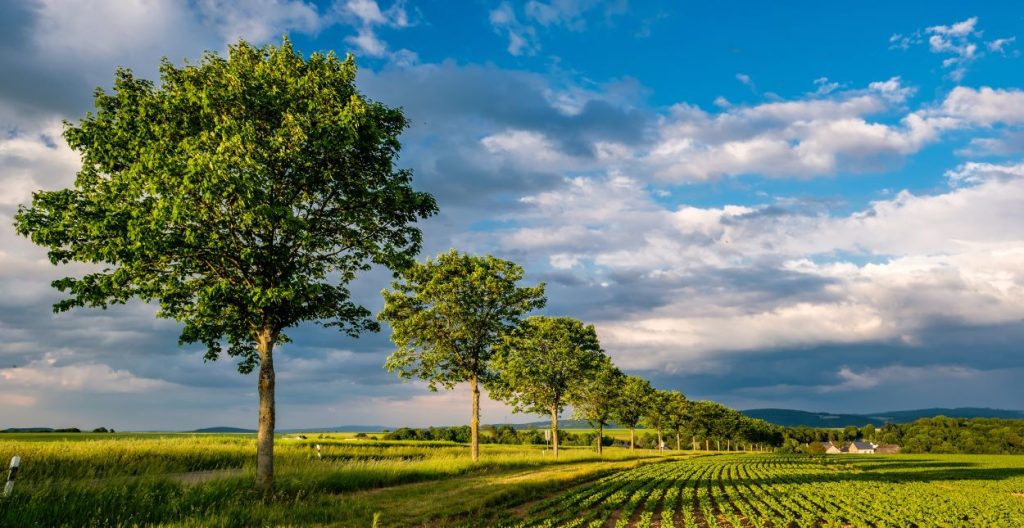 FCC REPORT: CANADIAN FARMLAND VALUES RISE 5.5% IN FIRST HALF OF 2024 ...