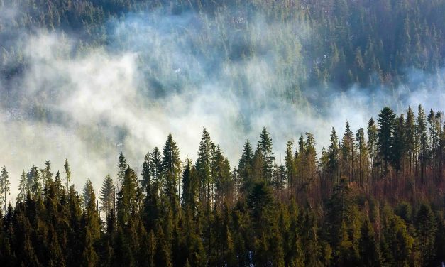 FUNDING TO ASSIST FIRMS FOCUSED ON WILDFIRES